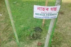 WhatsApp-Image-2023-06-05-at-8.12.54-AM-280x300